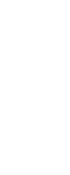 Портрет GR 3