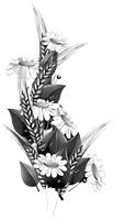 Цветок cvetok9