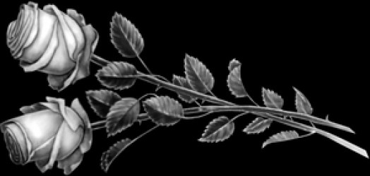 Розы-2576-min